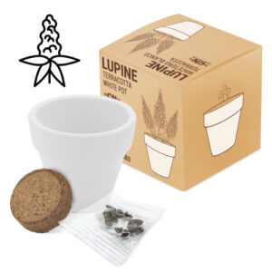 Maceta terracota con semillas Blanco - Imagen 3